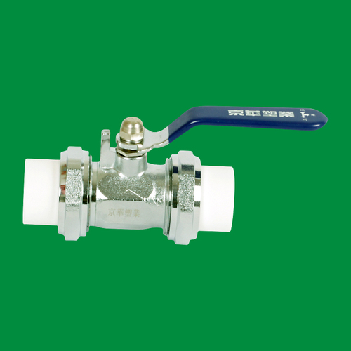 Type A boutique dual-plug ball valve